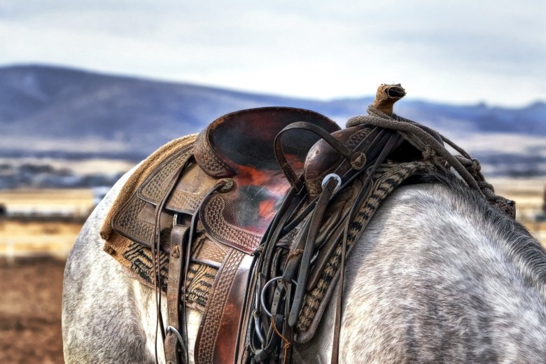 Horse with saddle